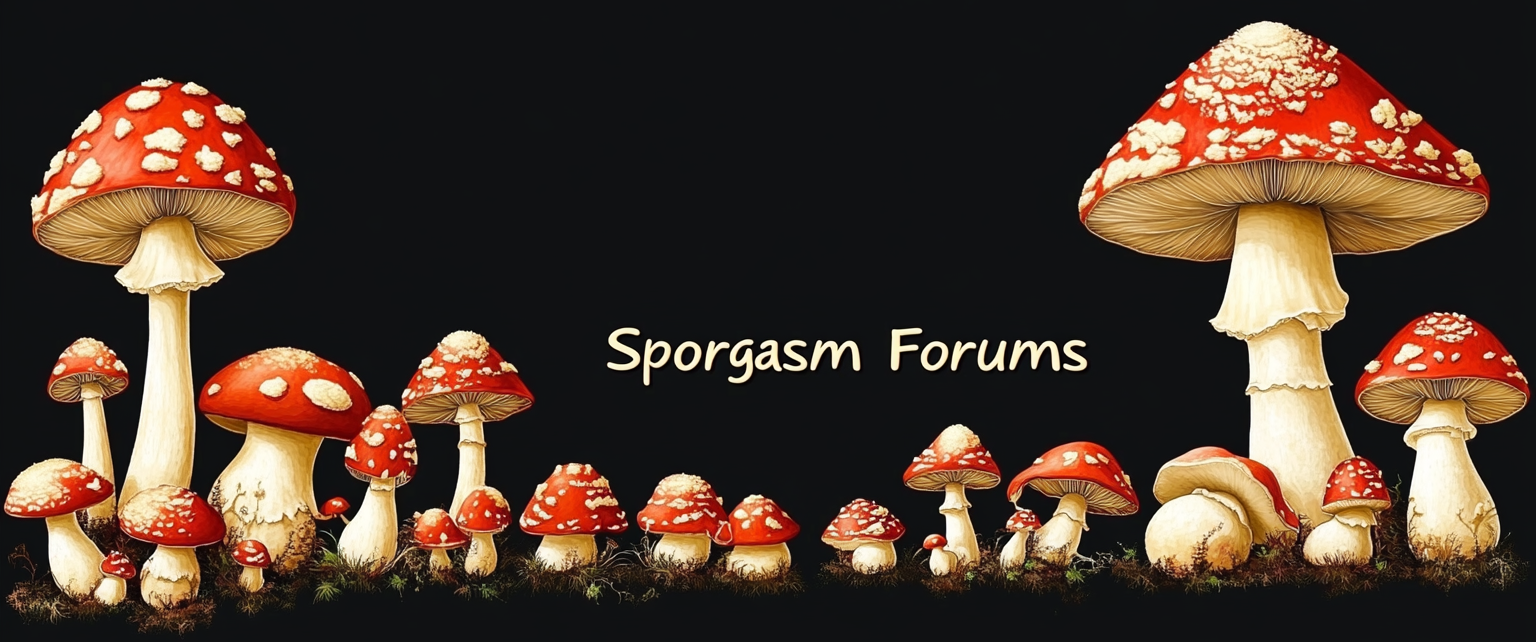Sporgasm Forums